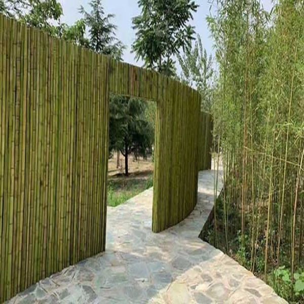 公园景区标识导视系统触感体验与无障碍设计要注意哪些