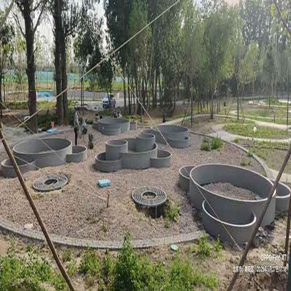 温榆河公园广场种植池...